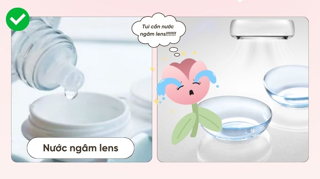 Cẩm nang về Nước ngâm lens