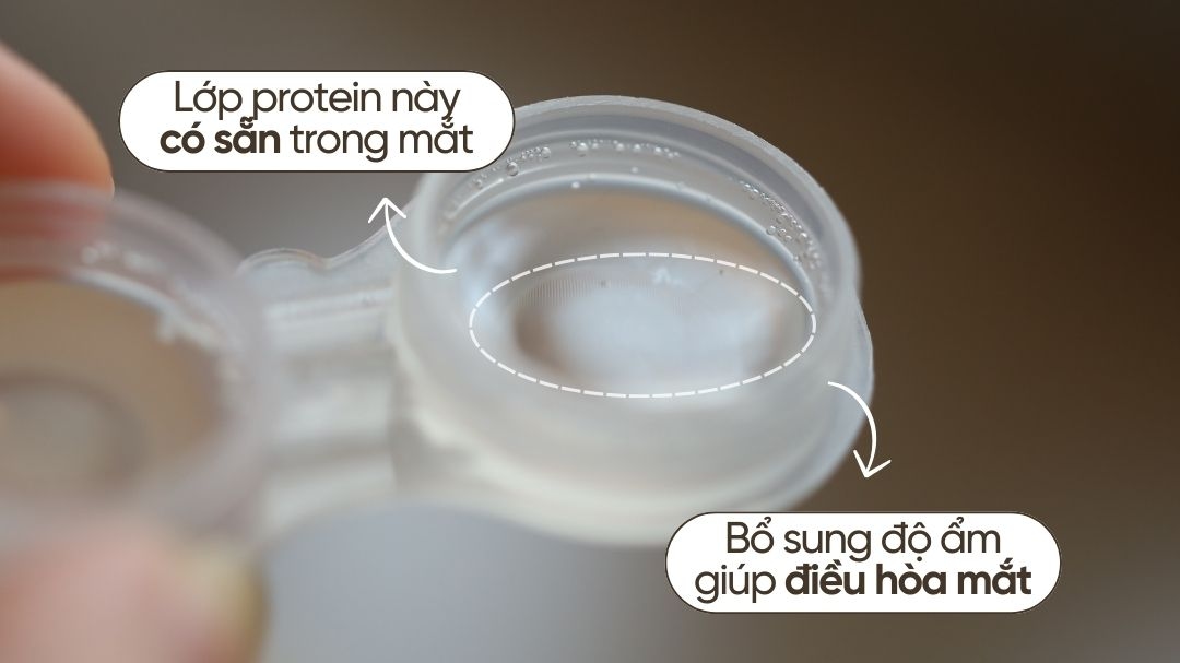 Protein mắt và những điều bạn cần biết về Protein mắt