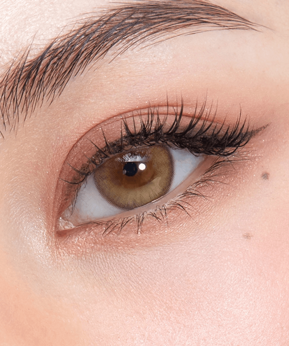 Kính áp tròng 1 ngày FRENCH SHINE HAZEL (OLENS) LENSFORGIRLSS