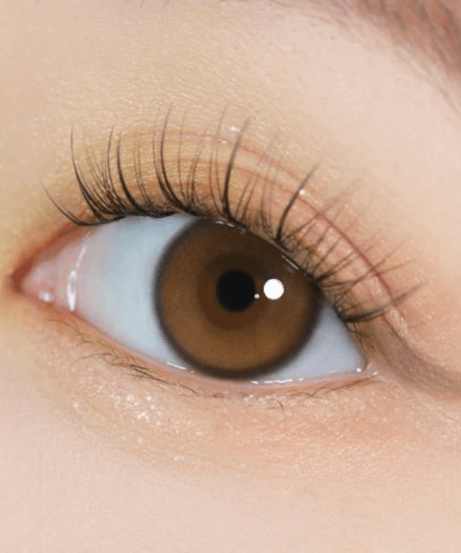 Kính áp tròng 1 ngày YURIAL WATER BROWN (IDOL) LENSFORGIRLSS