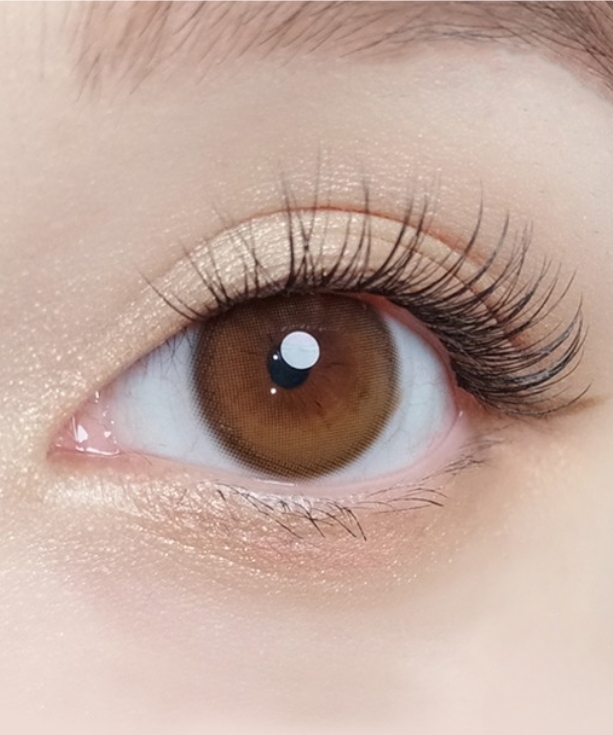 Kính áp tròng XOXO KISS ME (DAHLIA BROWN) (OLOLA)