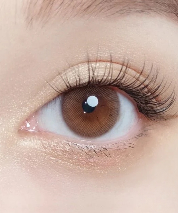 Kính áp tròng MELLOW BROWN (OLOLA)