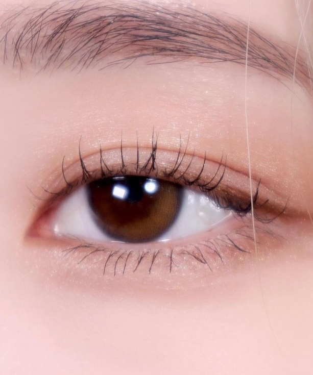 Kính áp tròng YURIAL SERUM BROWN (IDOL)