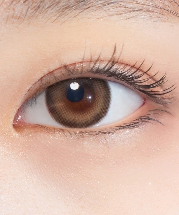 Kính áp tròng ONE&ONLY KRISTIN 1DAY BROWN 13.8mm (HAPA KRISTIN)