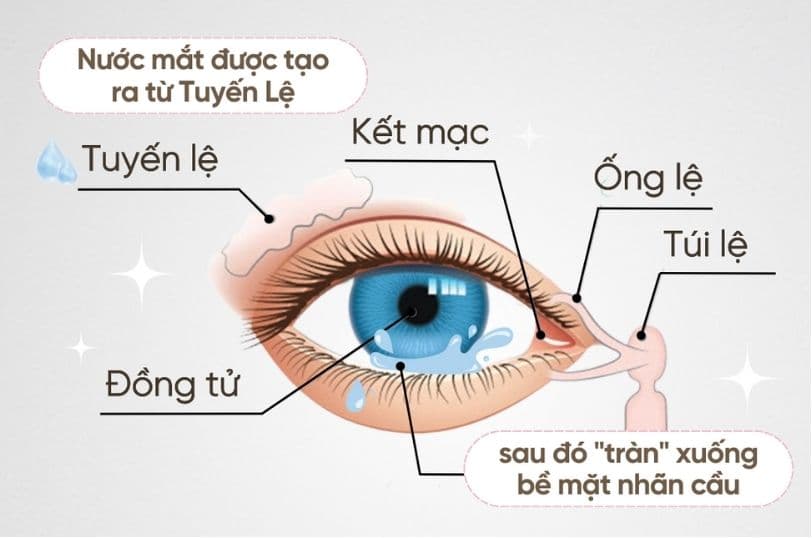 đeo lens có khóc đc không (1).jpg