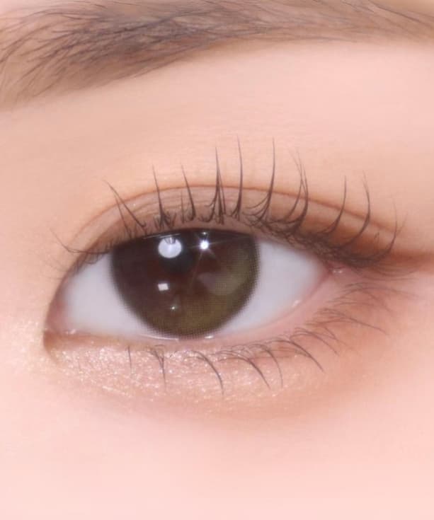 Kính áp tròng POLARIS URSA OLIVE (ISHA)