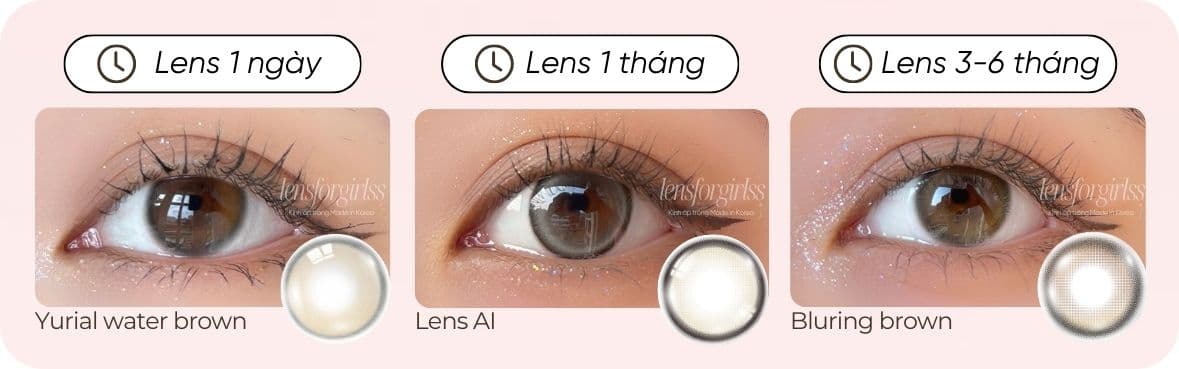 Phân loại lens 1-1.jpg