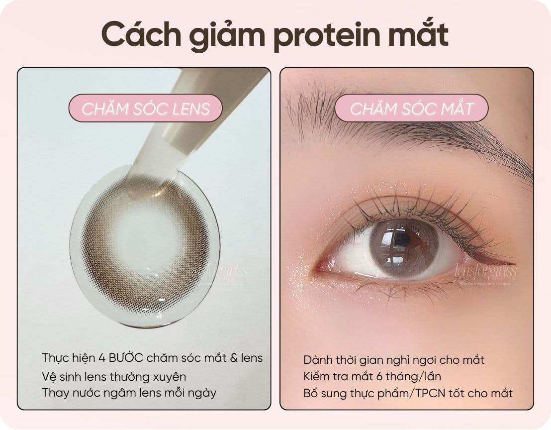 Protein mắt (1).jpg
