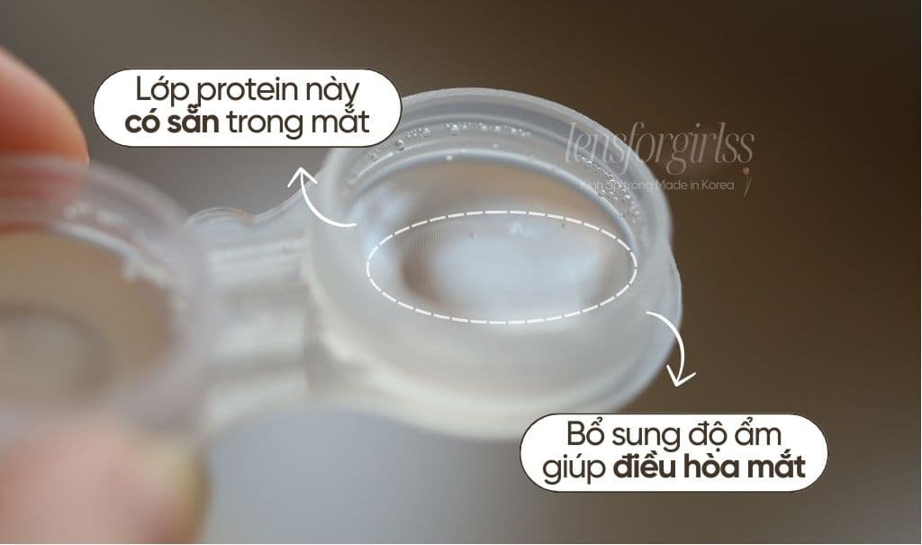Protein mắt (3).jpg
