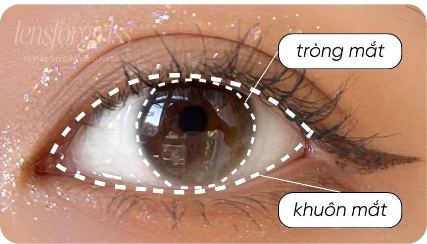 cách chọn lens cho mắt bé (2).jpg
