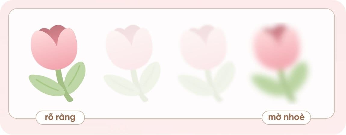 dấu hiệu lens hết hạn (3).jpg
