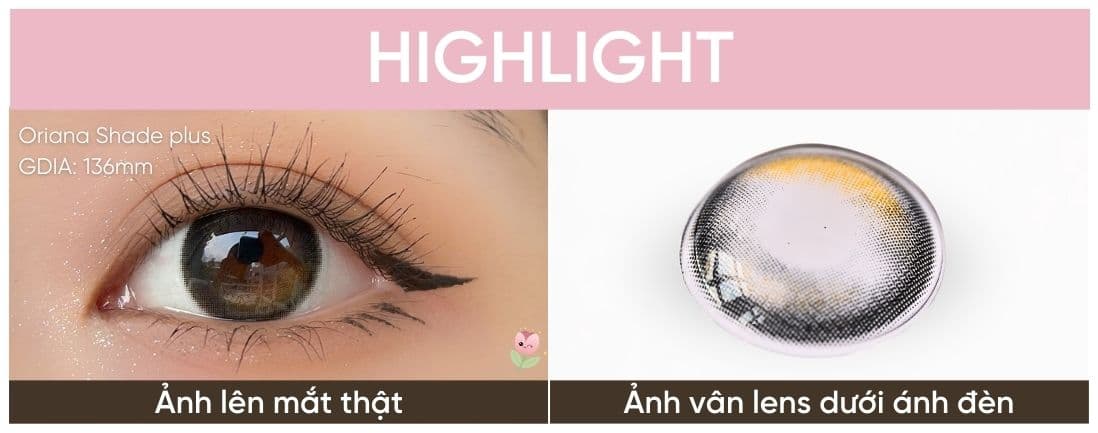 thiết kế lens cơ bản  (1).jpg