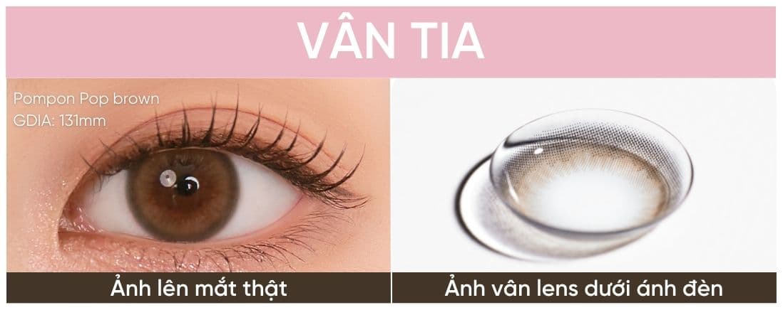 thiết kế lens cơ bản  (8).jpg
