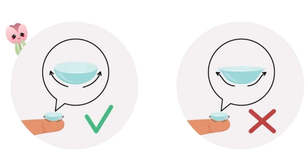 tips đeo lens (2).jpg